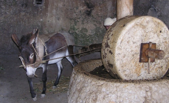 donkeymillstone